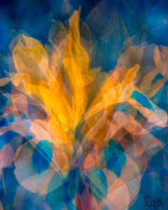 iris layers-blueyellow